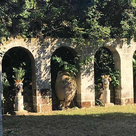 La Gallina Felice B&B Meta Eksteriør billede